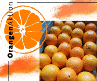 Orangen-Aktion vor dem Kö8 