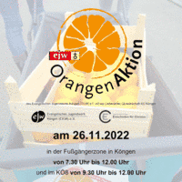 ORANGEN-AKTION VOR DEM Kö8 2022